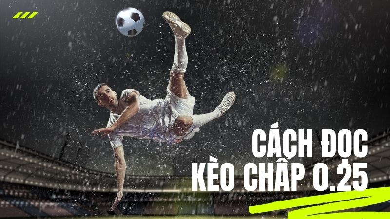 Cách tính tỷ lệ kèo chấp 0.25 dễ hiểu nhất Cách tính tỷ lệ kèo chấp 0.25 dễ hiểu nhất